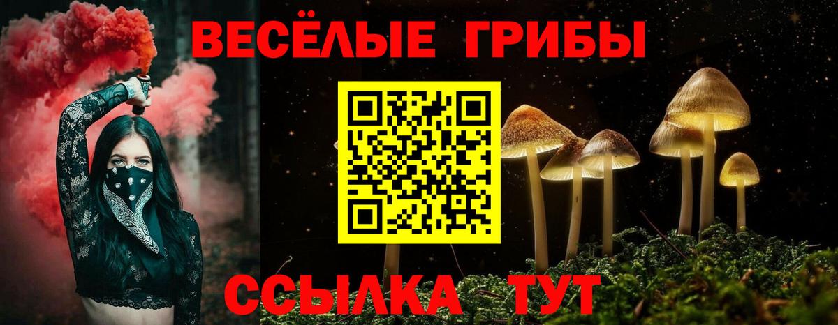 Волжский  Псилоцибиновые грибы мухоморы  Вход с VPN 